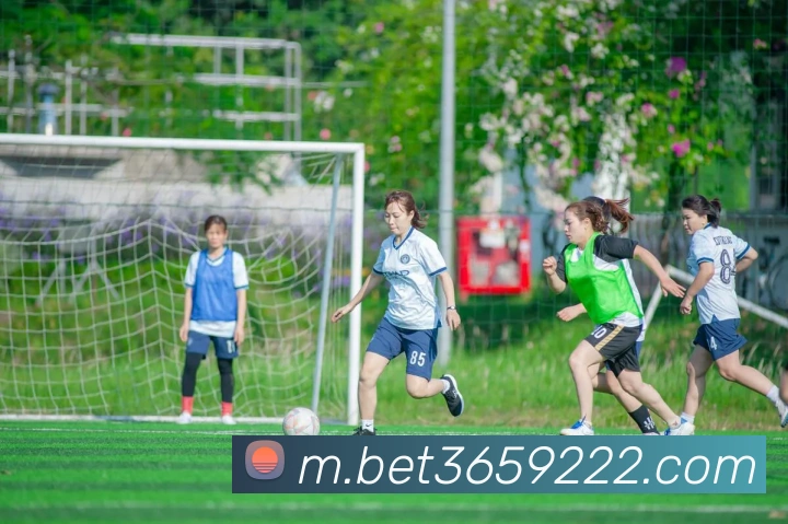 bet365中国官网品牌故事