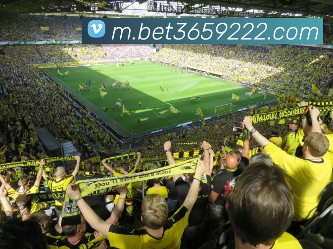 bet365中国官网服务体系